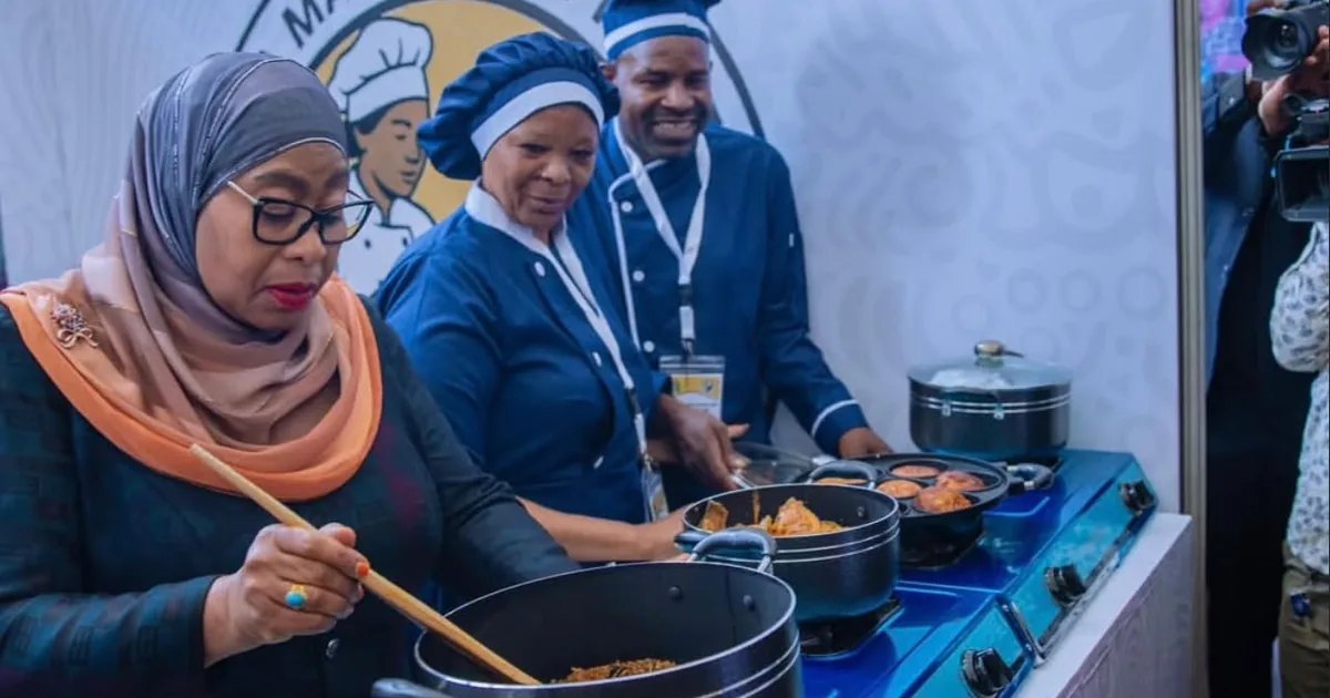 Clean cooking transition in Tanzania: LPG distribution and clean burners